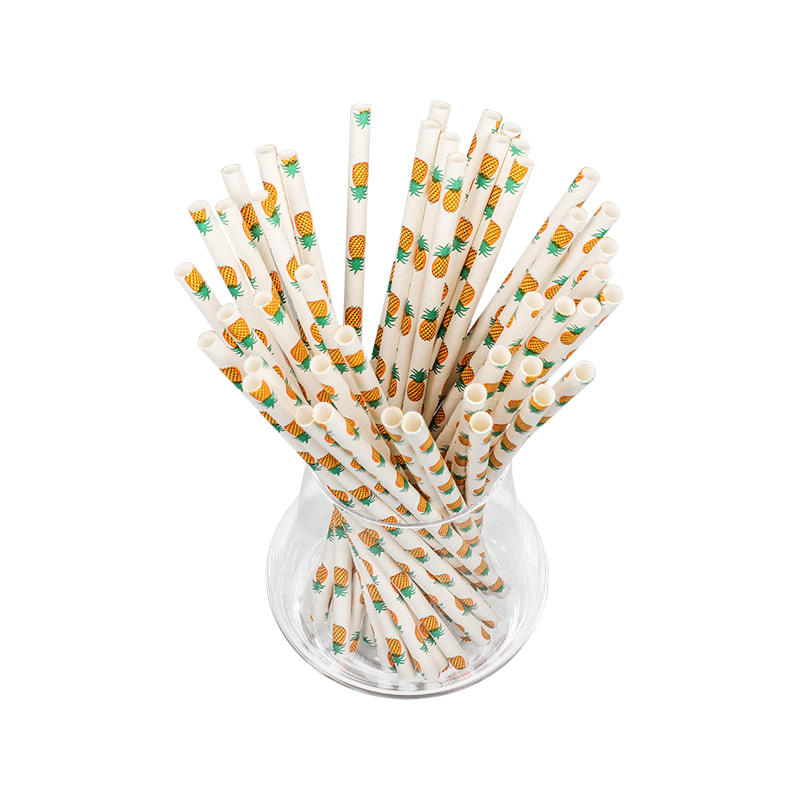 ZG02- JIAYAN Fruit Pattern Recyclable Party Drinking Printing Paper Straw