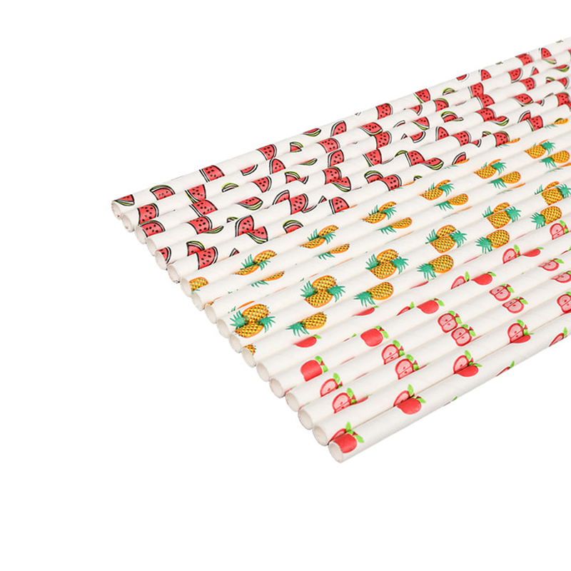 ZG02- JIAYAN Fruit Pattern Recyclable Party Drinking Printing Paper Straw