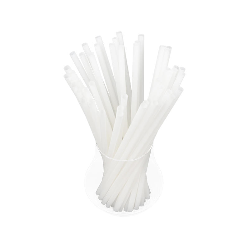 PLA02-JIAYAN Disposable Biodegradable White Straight PLA Drinking Straw